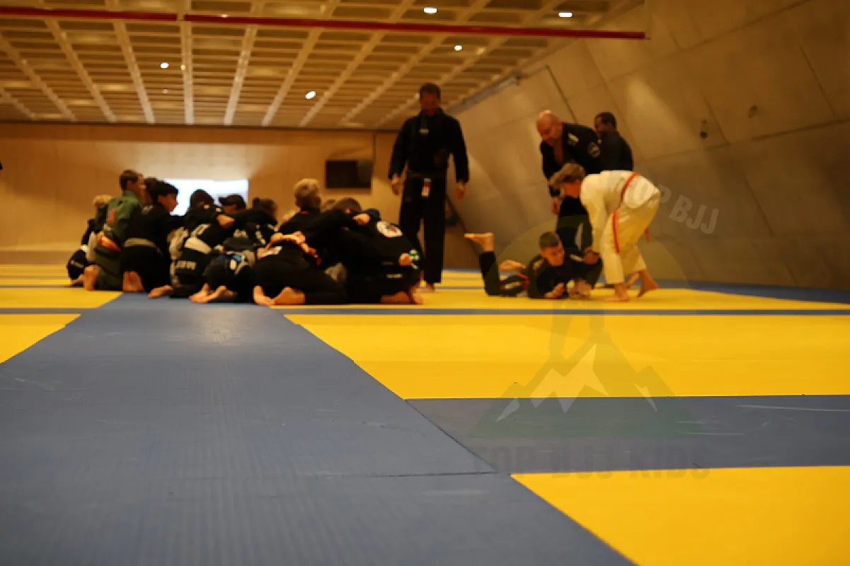 Photo from XL TRAINING LASSO GUARD