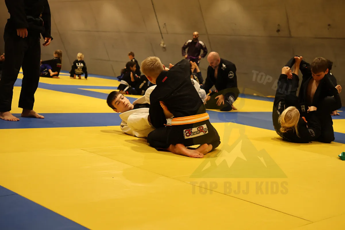 Photo from XL TRAINING LASSO GUARD