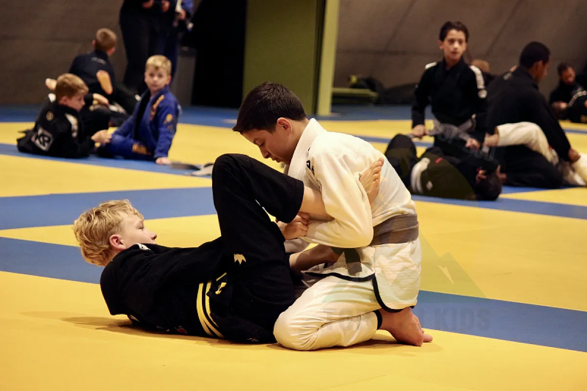Photo from XL TRAINING LASSO GUARD