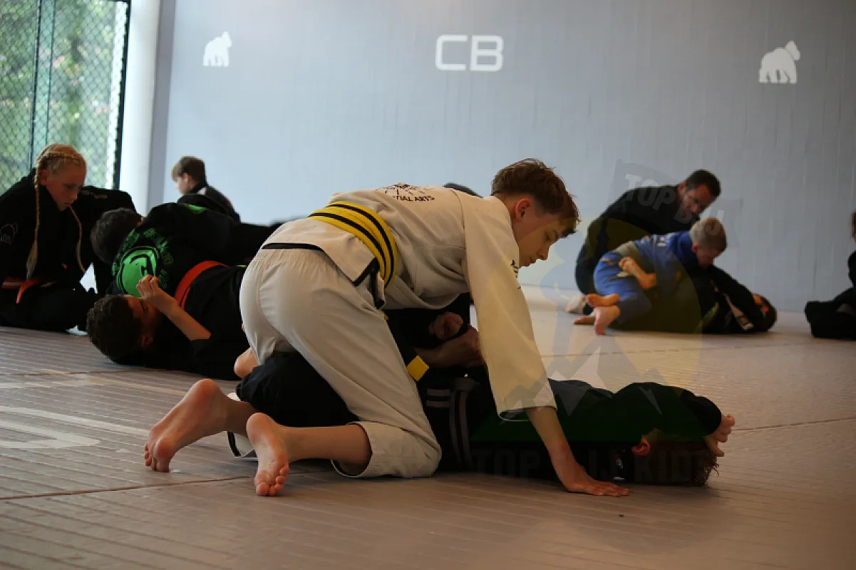Photo from HALF GUARD PASSING