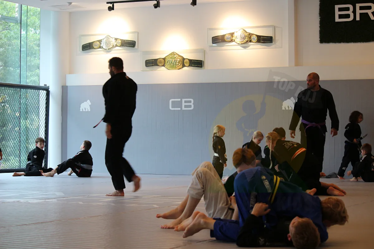 Photo from HALF GUARD PASSING