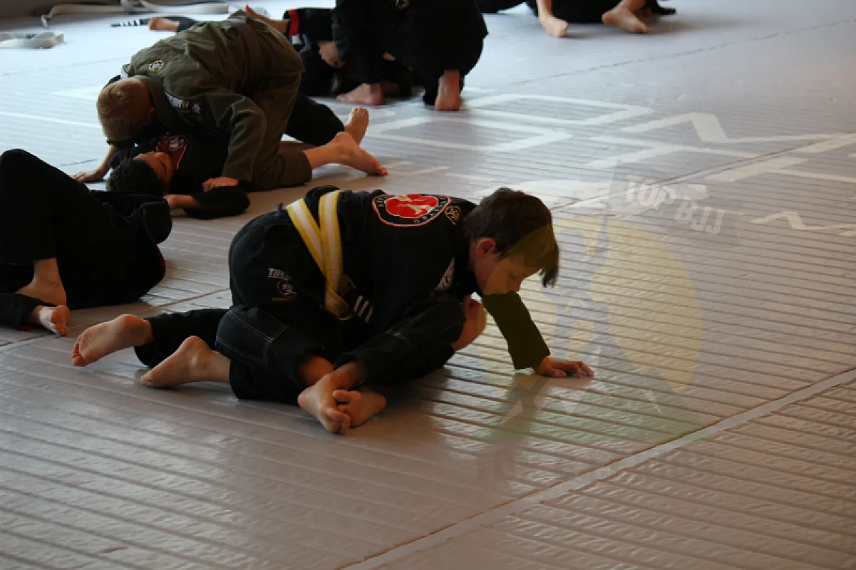 Photo from HALF GUARD PASSING
