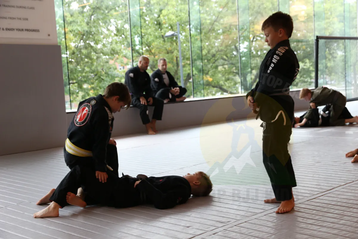 Photo from HALF GUARD PASSING