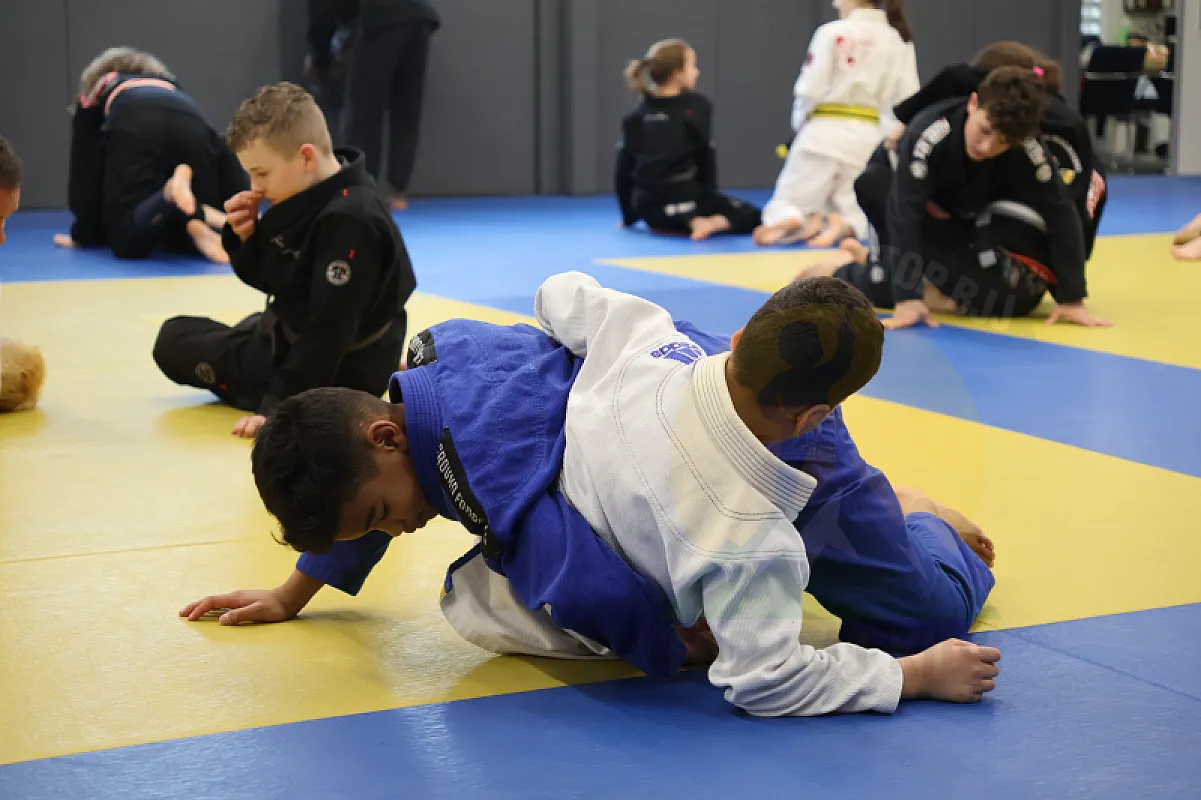Photo from OCTOPUS GUARD