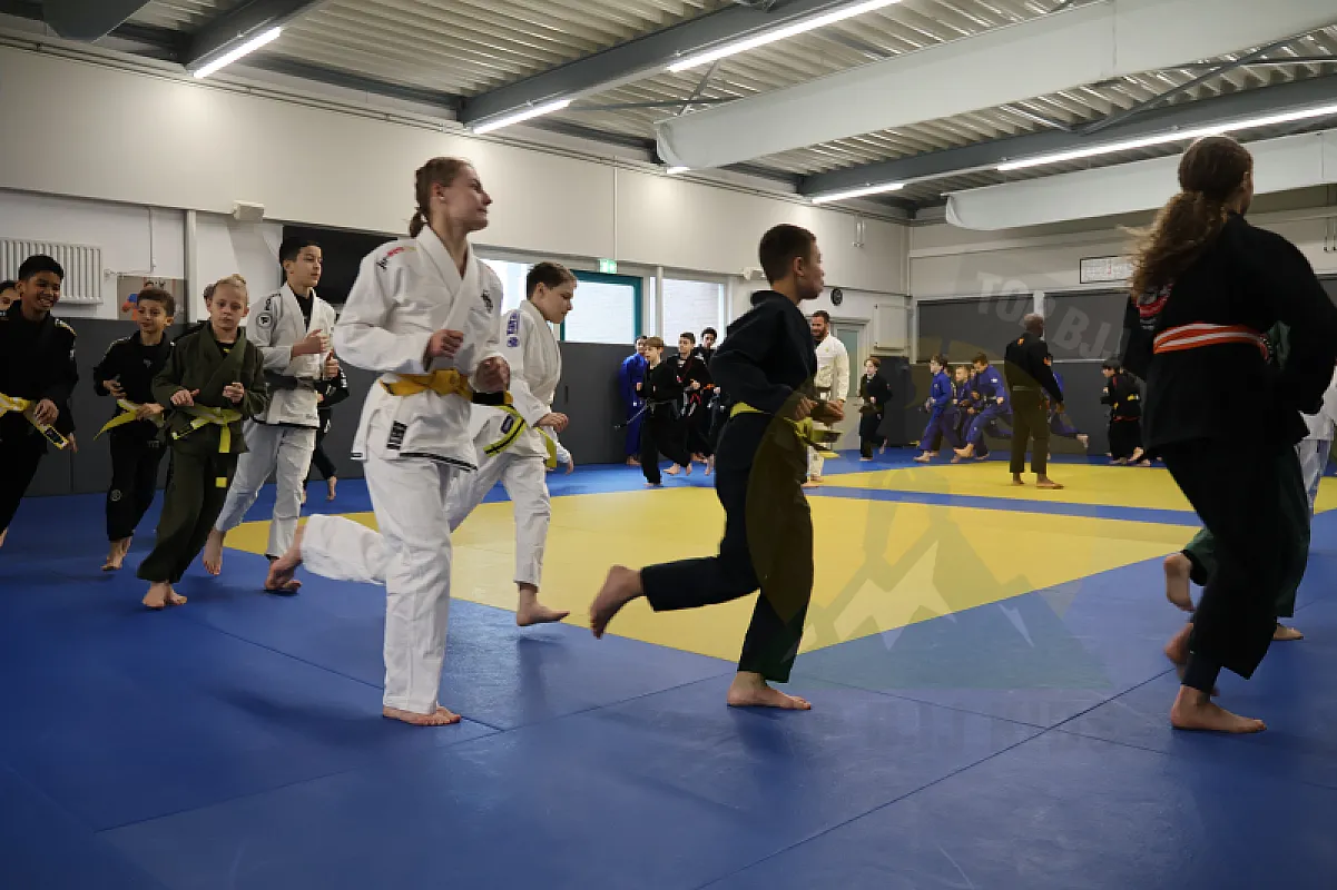 Photo from OCTOPUS GUARD