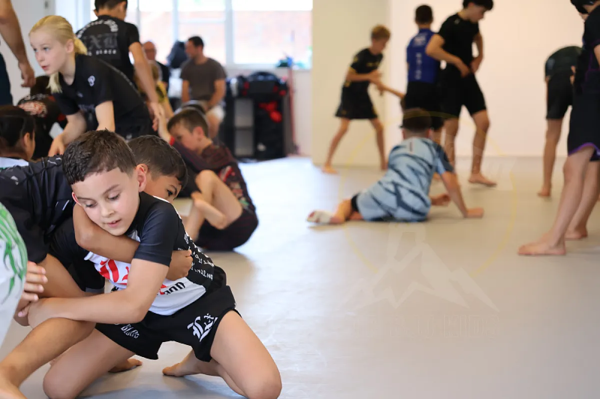Photo from NO-GI GUARD RETENTION