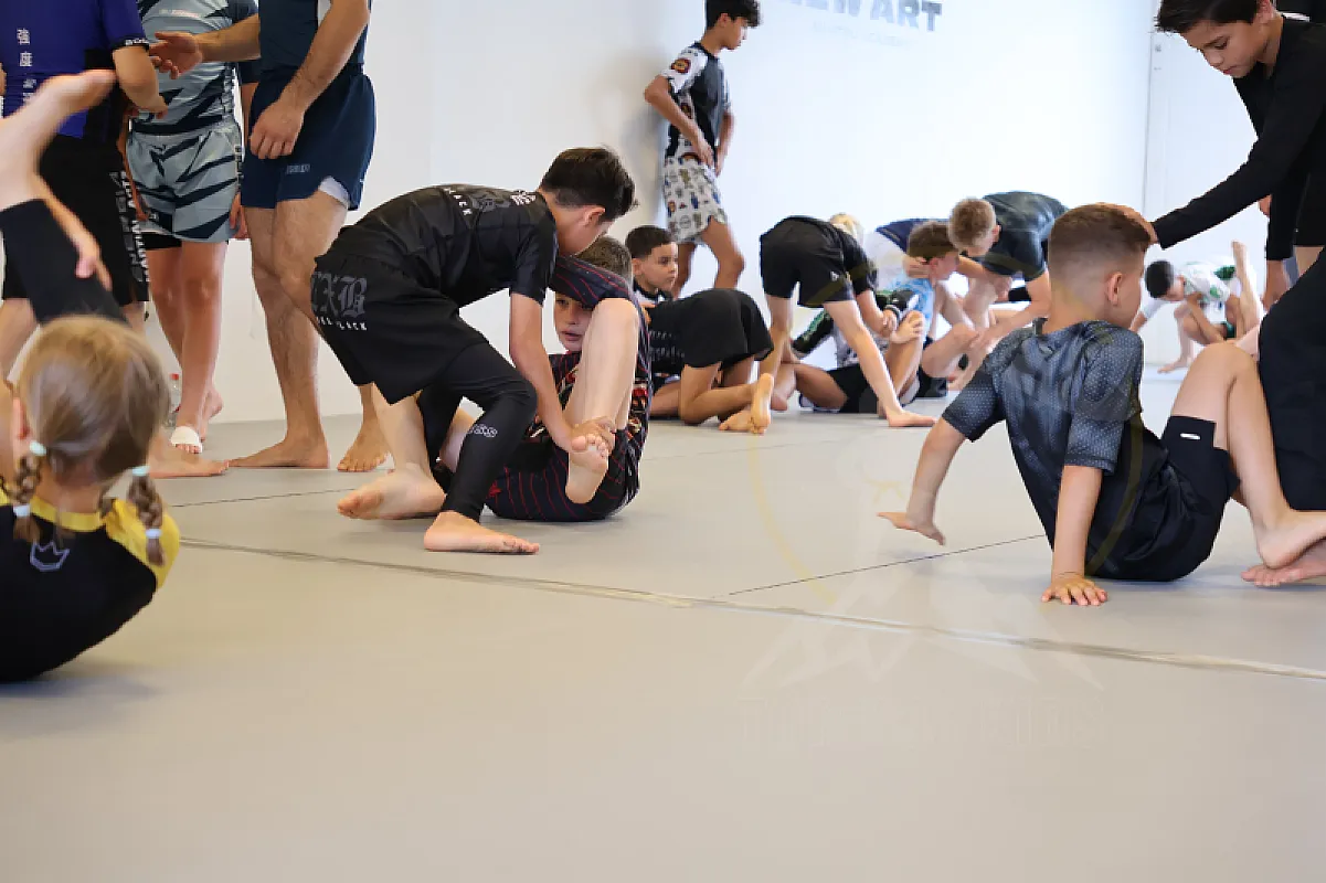 Photo from NO-GI GUARD RETENTION