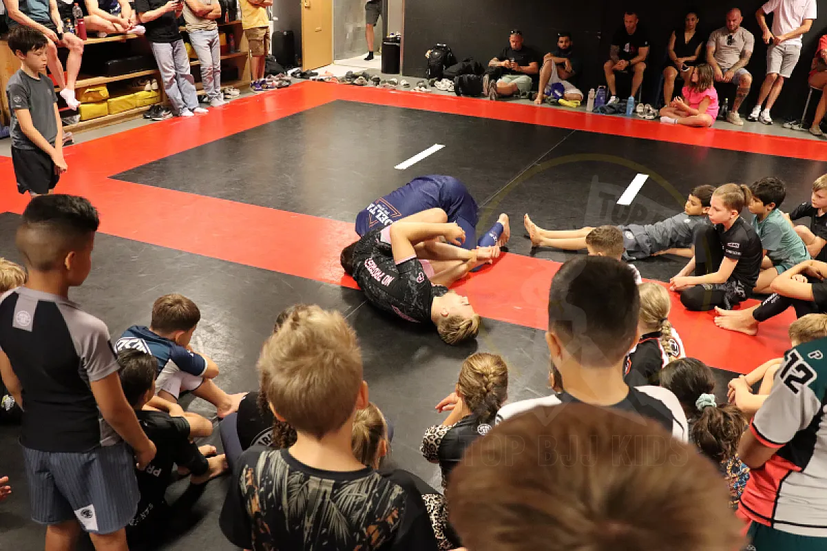 Photo from NO-GI ARMBARS