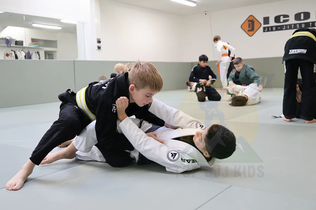 Photo from GUARD PASSING AND CONNECTION
